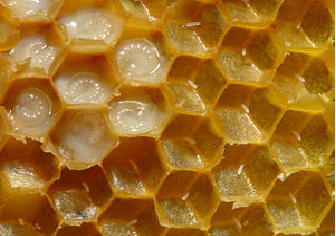 1657771582714843.png image.png