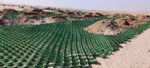 长江戴家洲河段生态固滩工程