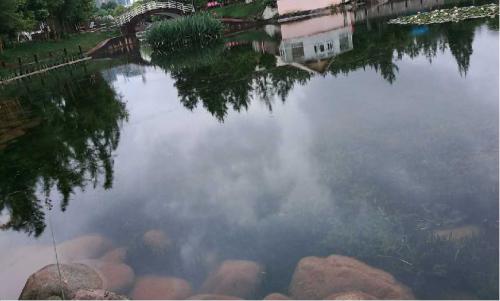 玉溪东风游乐场人工湖治理工程