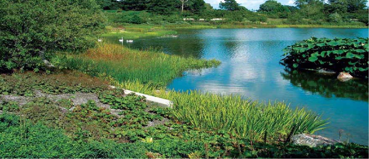 1657779022789676.jpg 图片21.jpg